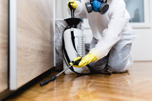 Best Emergency Pest Control  in Sheffield, IA