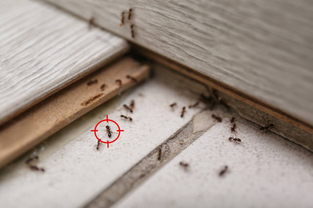 Sheffield, IA Pest Control Company